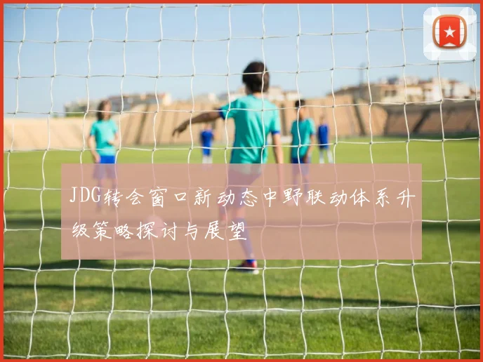 JDG转会窗口新动态中野联动体系升级策略探讨与展望