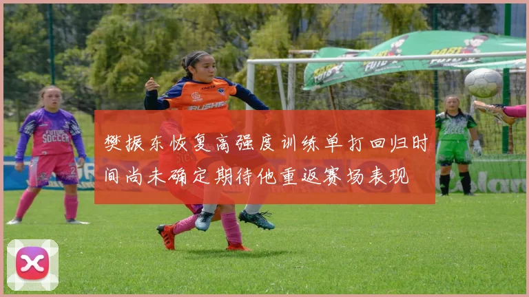 樊振东恢复高强度训练单打回归时间尚未确定期待他重返赛场表现